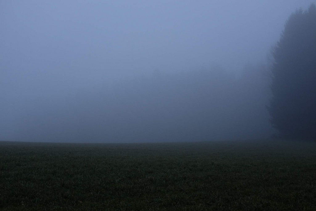 Statt Weichzeichner: Nebel ist in der Landschaftsfotografie ein stimmungsvolles Element (c)2014 Thomas Hümmler – München · Grafing