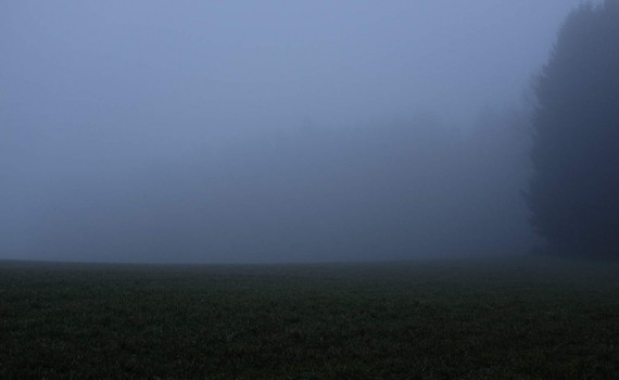 Wald im Nebel (c)2014 Thomas Hümmler - München - Grafing