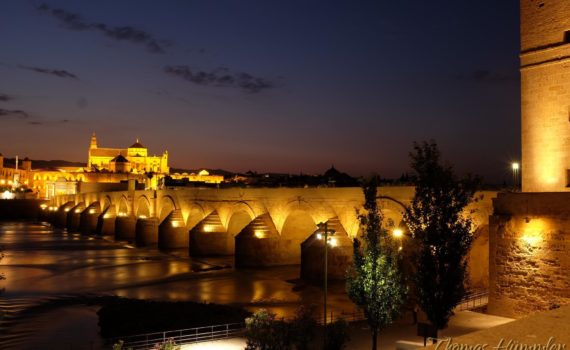 Blick auf die Mezquita in Córdoba