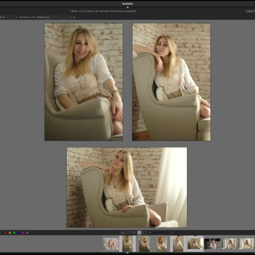 Darktable für Fotografen - Leuchttisch